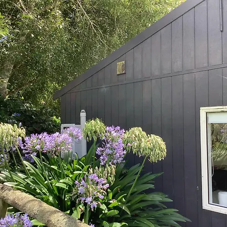 Wood Pigeon Cottage Pet Friendly Free Breakfast Hauraki Rail Trail 2Kms Waikino Exterior photo