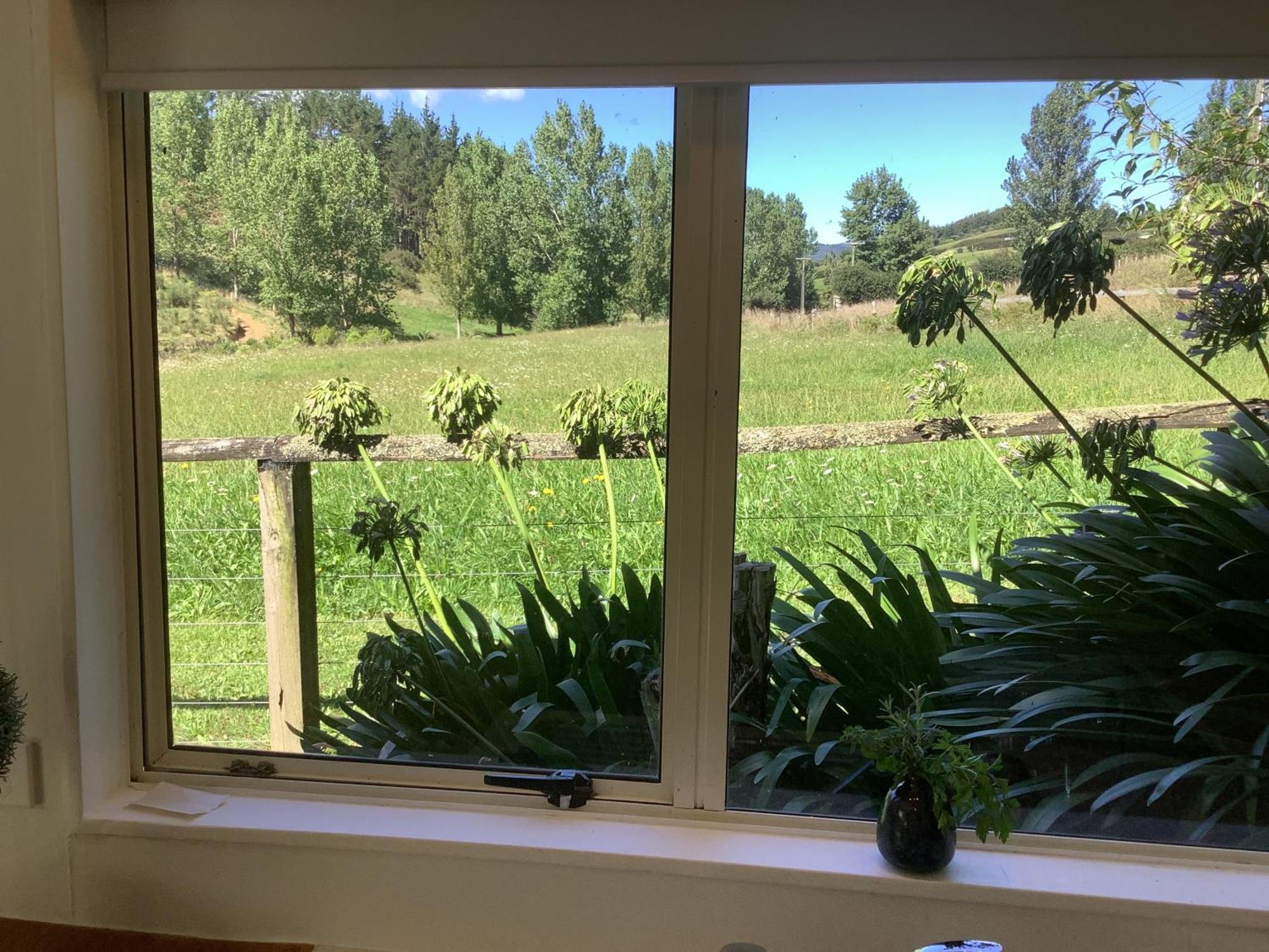 Apartment Wood Pigeon Pet Friendly Free Breakfast Hauraki Rail Trail 2kms *