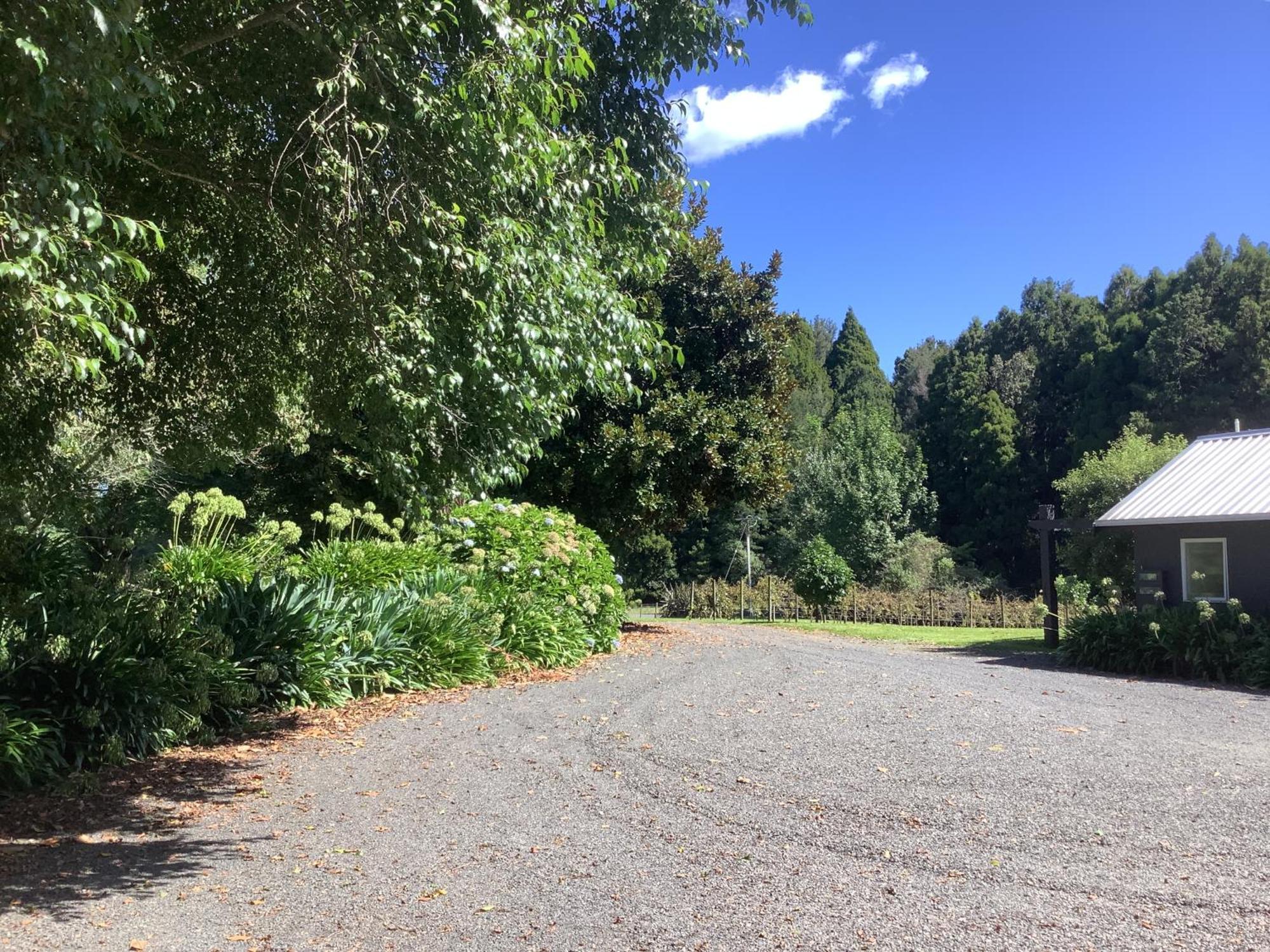 Apartment Wood Pigeon Pet Friendly Free Breakfast Hauraki Rail Trail 2kms Waikino