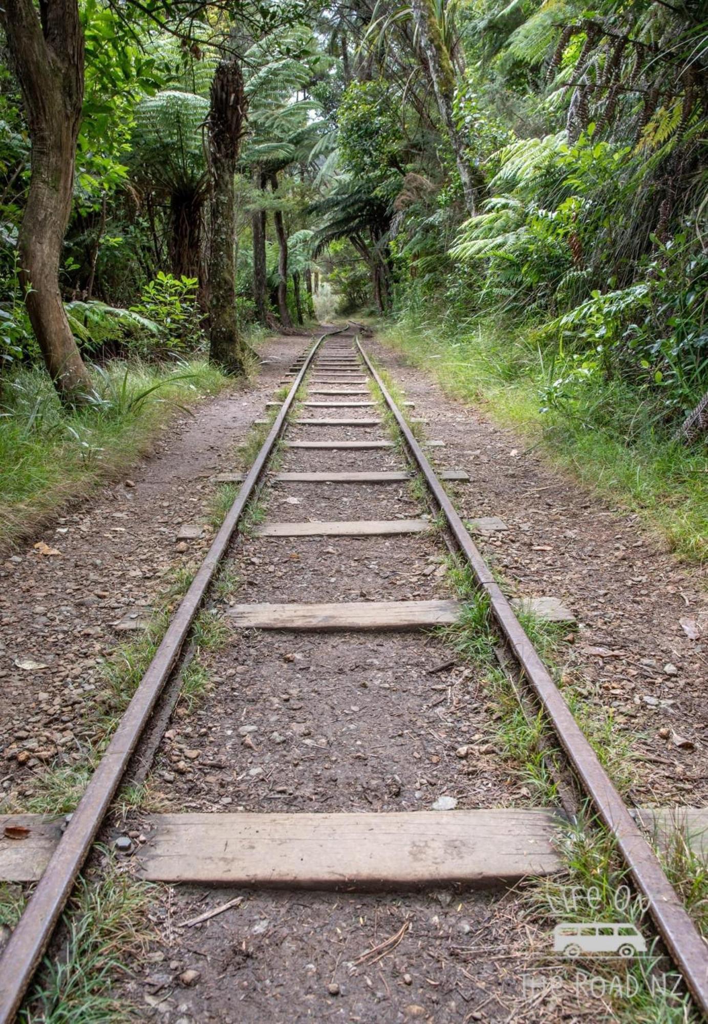 Apartment Wood Pigeon Pet Friendly Free Breakfast Hauraki Rail Trail 2kms *